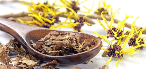 Witch Hazel Distillate